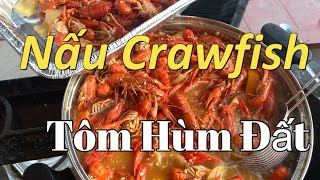 Lần đầu con nấu Crawfish - Tôm Hùm Đất đãi cả nhà | Dung Võ Vàm Cỏ