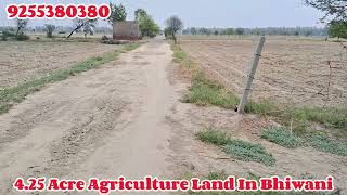 4.25 एकड़ कृषि भूमि बिक्री के लिए हरियाणा  | Land For Sale In Bhiwani | सस्ती भूमि  | 9255380380