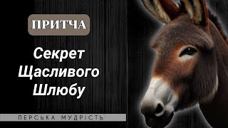 СЕКРЕТ ЩАСЛИВОГО ШЛЮБУ | ПЕРСЬКА ГУМОРИСТИЧНА МУДРІСТЬ