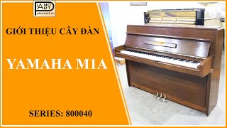 ĐÀN YAMAHA M1A Có thiết kế nhỏ gọn phong cách, màu sơn bóng làm tăng thêm vẻ sang trọng của cây đàn