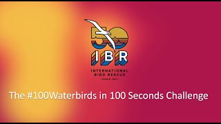 100 Waterbirds in 100 Seconds Challenge