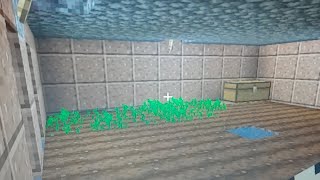 Minecraft SMP 2