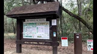 Lake Eaton campground & trails Ocala National Forest