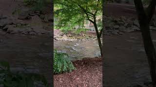 Just peacefully watching the water in the mountains of Cherokee, NC. #travel #cherokee #2024 #peace