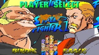 Street Fighter I: The King of the Hill #13 Birdie