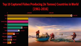 Top 10 Largest Fish Producing Countries In The World | Racing Bar Graph