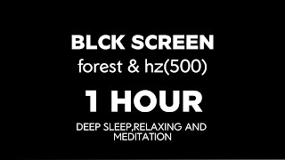 Black SCREEN Forest AND Hz(500) | 1 Hour