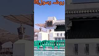 يانبي سلام عليكَ madinah #youtube  #shorts#viral video نعت شریف#shortsvideo 2023