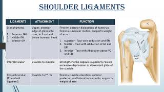 Npte preparation- Ligaments of shoulder joint