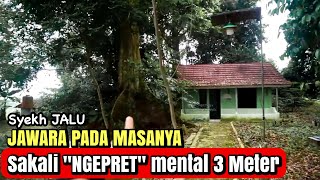 INILAH SOSOK JAWARA PADA MASANYA - SYEKH JALU ROKOY KADUHEJO