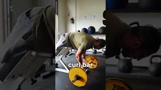 45 Degree Hip Extension Zerchers