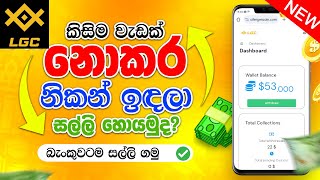 නිකන් ඉඳලා සල්ලි හොයමුද? | New Emoney Site In Sinhala 2024 | How to earn money online sinhala