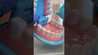 Dentist Toy Unboxing Melissa and Doug Super Smile Dentist Kit ASMR #shortsvideo #shorts #dentist