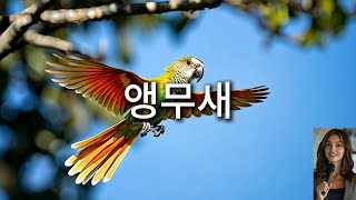 앵무새