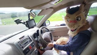 Enjoy the Ride - Welcome to the rice fields! - Another my fursuit driving video - Drive vibes! ~