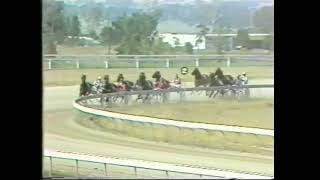 Traralgon trots - 26th February 1983