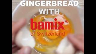 Gingerbread with Bamix of Switzerland