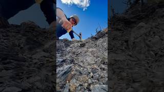 We Found Fossil Shells And Cephalopods! How did we know? 😵⚒️