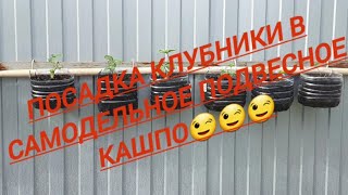 Посадка клубники//Самодельное подвесное кашпо//Вроде ничего...😉19.04.23