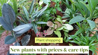 The Best Shade & Sun Plants For Your Garden | Newly purchased plants with prices & care tips