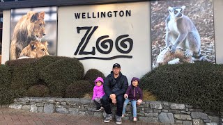 Wellington Zoo | Places to visit in Wellington New Zealand