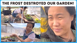 An unexpected frost DESTROYED our garden 😩 | Nevada Desert Homestead