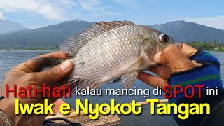 Mancing Nila/Mujaer Liar Rawapening||Via Tegalwuni,Banyubiru