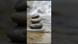 Zen Relaxing Music with Nature Sounds, Forest Music, Sleep Music, Meditation Music #shorts