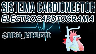 Sistema Cardionector X Electrocardiograma