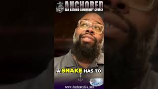 Unmasking Deception: Are You Seeing the Snakes?