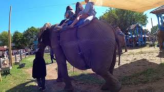 Minnesota Renaissance Festival with Amanda and Emma