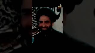 Allah ki Rasool Allah se Muhabbat - Allama Ali Raza Rizvi #shorts