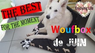 La MEILLEURE Woufbox de l'année - JUIN 2016 ✿ Enjoying Life