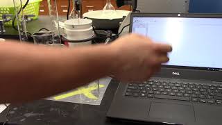 Thermochemistry Experimental Video 04   Reaction A02