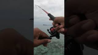 Ultralight Fishing Casting di larang dangkal