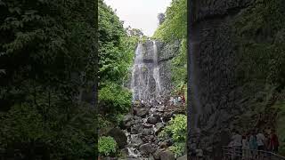 Amboli Waterfalls/Maharashtra/Waterfalls/Tourism #maharashtra #amboliwaterfall #shorts