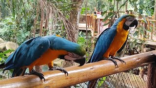 Passeio em família no Animalia Park Zoológico em Cotia (SP)