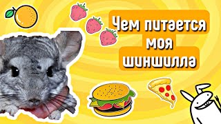 ПИТАНИЕ МОЕЙ ШИНШИЛЛЫ ОТ А ДО Я🍱🌯🍔\\ яХрумка