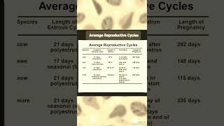 Animal Average Reproductive Cycles #cattles #cow