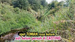 GAK SANGKA..!!?  NEMU SPOT TOMAN PINGGIR JALAN GANASNYA LUAR BIASA // CASTING TOMAN