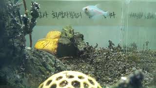 [1029참사 추모 어항방송] Aquarium Live - 2023.05.24 Wed KST