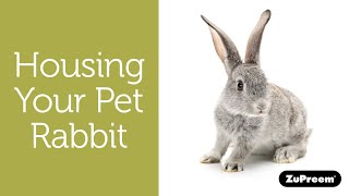 Pet Rabbit Cages - Housing Your Pet Bunny