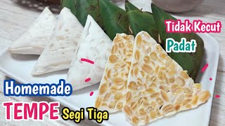 HOMEMADE TEMPE PADAT DAN TIDAK KECUT || MUDAH #bioteknologi