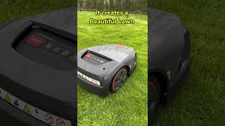 A Perfectly Cut Lawn all Year Round! The STIHL iMow EVO - Robot Mower - Automatic Lawnmower