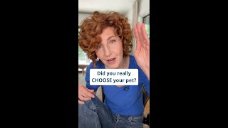 Did you really CHOOSE your pet? #shorts