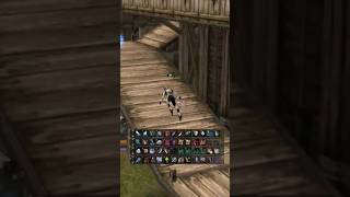 Lineage 2 gve GH fort mass pvp #gve #lineage2 #l2 #shorts