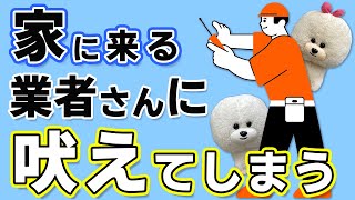 【犬のしつけ】家に来る業者さんに吠える【悩み相談ライブ切り抜き】