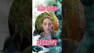 Що таке ПЕКЛО?