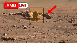 NASA's Mars Rover Sent Most Fascinating Images of Mars Life - Panoramic camera captures 360° Images