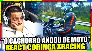 CORINGA REAGINDO A OBSERVAÇÕES DIÁRIAS (by xracing ep. 234) 💥